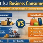 What Is a Business Consumer? A Complete Guide for Beginners and Professionals